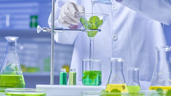 The Future of Conscious Beauty